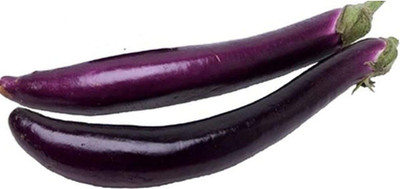 KNESSiN Pingtung Long F1 Brinjal Seeds-[2gm] Seed(500 per packet)