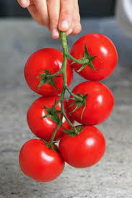 oiver tomato seed Seed(152 per packet)