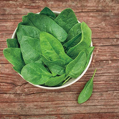 CYBEXIS XLR-6 - Baby Green Leaf Riverside Spinach - (250 Seeds) Seed(250 per packet)