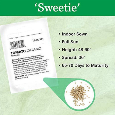 Quentova Cherry Tomato 1gm Seeds Seed(400 per packet)
