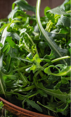 VibeX GBPUT-10 - Arugula (Slow Bolt) - (250 Seeds) Seed(250 per packet)