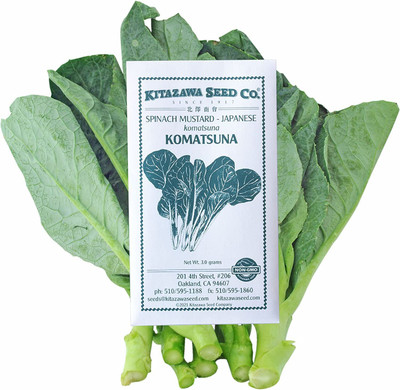 VibeX NBIR-76 - Spinach Mustard - Japanese Komatsuna - (250 Seeds) Seed(250 per packet)