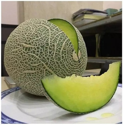 Quentova Musk Melon/ Cantaloupe/ Hami melon-PUA-7Z Seed(150 per packet)