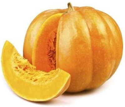 BDSresolve Hybrid pumpkin seeds for farming Pack of 11 Seed(11 per packet)