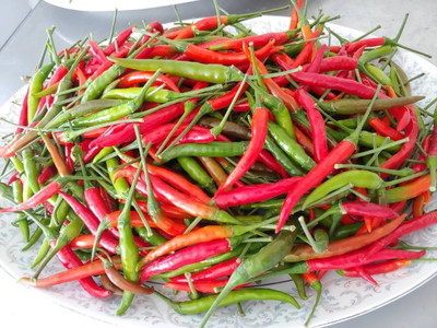 granthi Thai hot pepper seeds Thai chili Seed(1800 per packet)