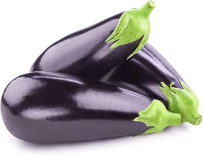 UGRA Brinjal No.1 Purple Eggplant Vegetable Seed(500 per packet)