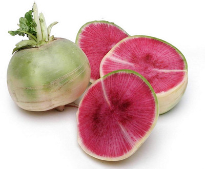 KNESSiN Watermelon Radish[100 Seeds] Seed(100 per packet)