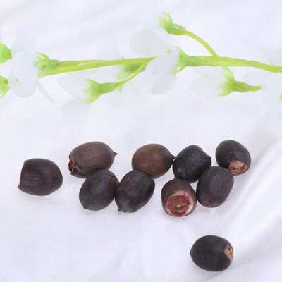 CRGO ™ VXI-583 Aquatic Plants Bowl Lotus Water Lily Seed(9 per packet)