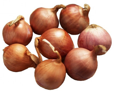 WATIKA Sweet Yellow Onion Seed(2000 per packet)