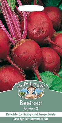 KNESSiN Beetroot Perfect 3 Seed(200 per packet)