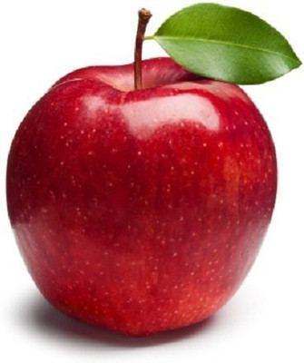 Decon Apple Seed(10 per packet)