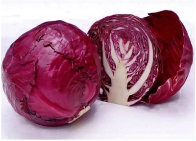 Avysa Cabbage Red Acre Seed(800 per packet)
