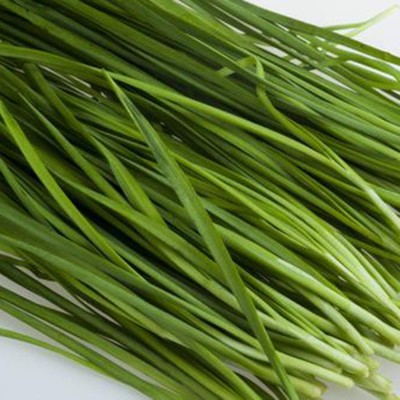 Qualtivate PUAS-9A Wild Chives for Planting Seed(300 per packet)