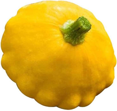 CYBEXIS F1 Toy Pumpkin Seeds-50 Seeds Seed(50 per packet)