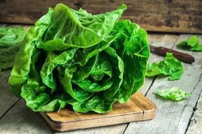 MAA Lettuce, Iceberg Seed(100 per packet)