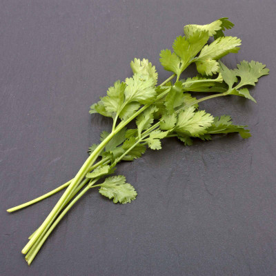 Quentova Coriander organic-5M-AJ Seed(250 per packet)