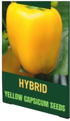 Qualtivate ICRA-5A YELLOW CAPSICUM VEGETABLE SEEDS Seed(100 per packet)