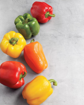 Pbevergreen fresh capsicum vegetable hybrid seeds 1-packet Seed(60 per packet)