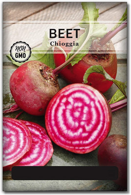 Biosnyg QAN-1 Chioggia Beetroot Seed-[200 Seeds] Seed(200 per packet)