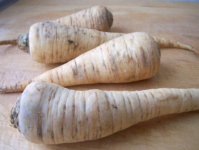 VibeX XL-46 - Parsley Sugar Root - (750 Seeds) Seed(750 per packet)