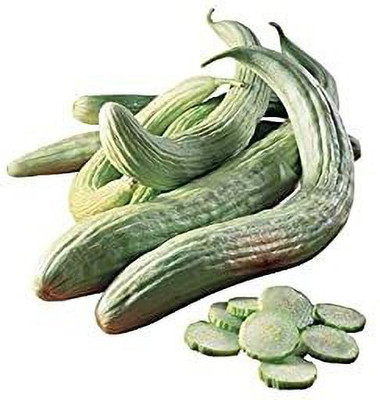 KANAYA Kakri Seed(180 per packet)
