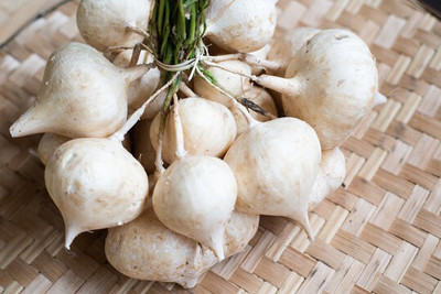 GreenHorizon Yam Bean / Jicama / sak aloo / saag aloo / sag alu Seed(30 per packet)