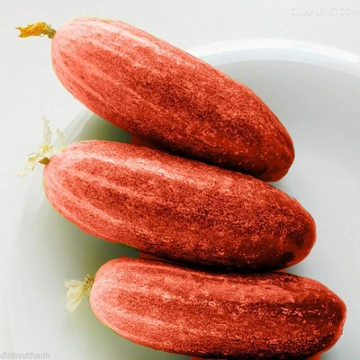 KNESSiN Red Cucumber Seed(200 per packet)