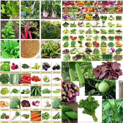 ibains Mix combo vegetable seeds biij 201 Seed(201 per packet)