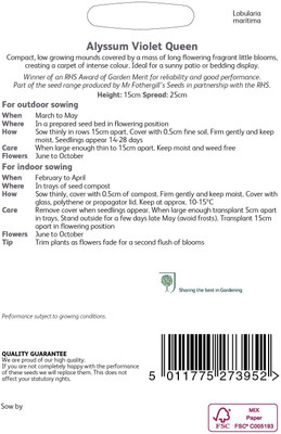 CYBEXIS Flower - RHS Alyssum Violet Queen Seed(50 per packet)