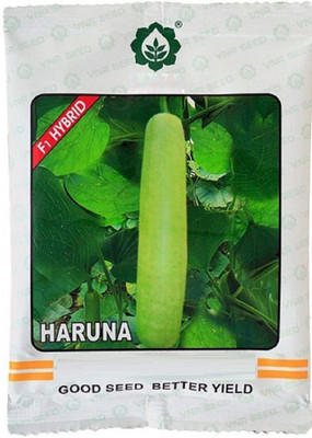 VibeX F1 Hybrid Rehka Bottle Gourd-(10 Gms, 50 Seeds) Seed(50 per packet)