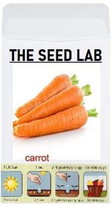 CYBEXIS Organic Vegetable Seeds-Orange Carrot1000 Seeds Seed(1000 per packet)