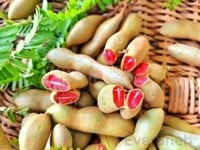 Aywal IMLI seeds beej,Tamarind Seed(14 g)