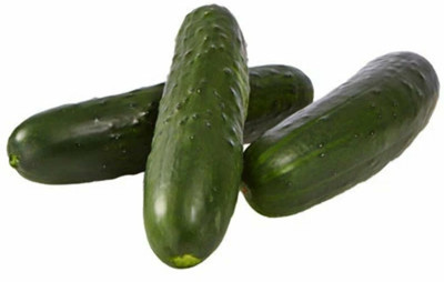 WHYGI Cucumber Cross Country F1 Seed-CuC_848 Seed(150 per packet)