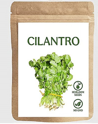Biosnyg QCO-37 Coriander-[800 Seeds] Seed(800 per packet)