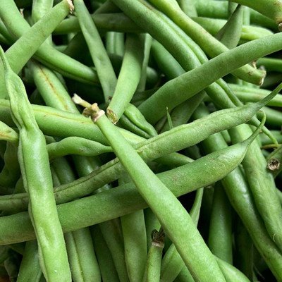 SREE Gwar Fali/Cluster Beans 57 Seed(100 per packet)