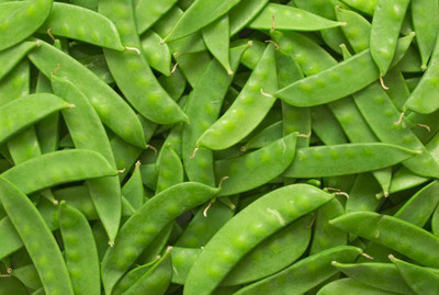 VibeX ® RXI-166 Oregon Sugar Pod II Snow Pea Seeds Seed(50 per packet)