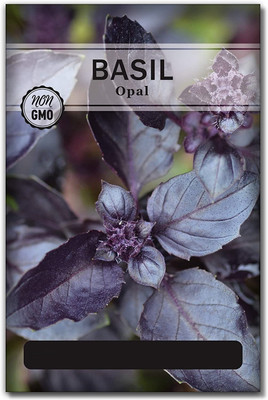 VibeX ® VXI-81 Dark Purple Opal Basil Seed(1000 per packet)