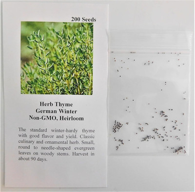 Qualtivate GXL-6AT Thyme Seed for Planting Seed(50 per packet)