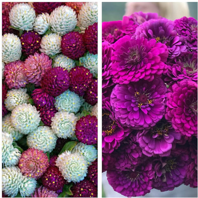 LPR MIX COMBO, FLOWER COMBOO Seed(100 per packet)