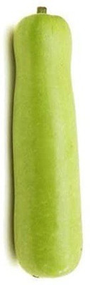 CYBEXIS NBIR-25 - Calabash | Lauki-Ghiya-Lau Hybrid - (100 Seeds) Seed(100 per packet)