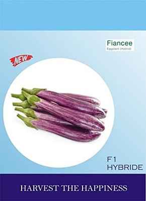 CYBEXIS XLL-18 - FIANCEE brinjal f1 hybrid vegetable - (1350 Seeds) Seed(1350 per packet)