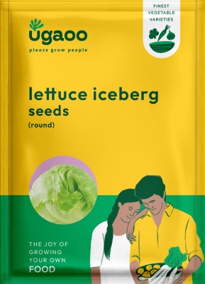 UGAOO Long Lettuce Romaine Vegetable Seed(2 g)