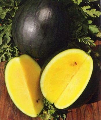 Aywal Watermelon Seed(200 per packet)