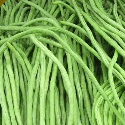 DIVINE BEANS Seed(100 per packet)