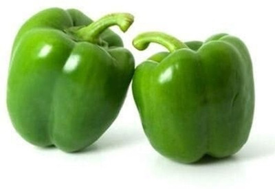 Qualtivate PUA5-A Capsicum | Shimla Mirch Green Seeds Seed(100 per packet)