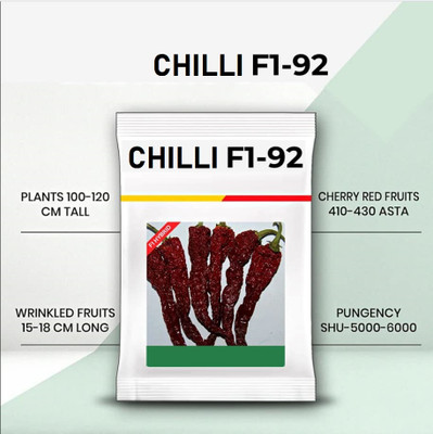 WILLVINE PUSA -VI 92 Chilli seeds | Dabbi byadgi chilli[50gm, 10000 Seeds] Seed(10000 per packet)
