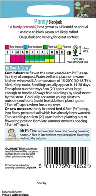 CYBEXIS Pansy Blackjack Seed(1 g)