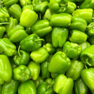 CYBEXIS XLL-35 - Capsicum | Bell Pepper| Shimla Mirch Green - (150 Seeds) Seed(150 per packet)