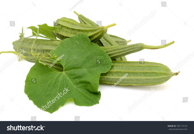 Paudhaa FI QUALITY RIDGE GOURD Seed(19 per packet)