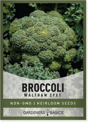 WILLVINE MEH -III Broccoli Seeds - Waltham 29 - Non-GMO [5g] Seed(1500 per packet)